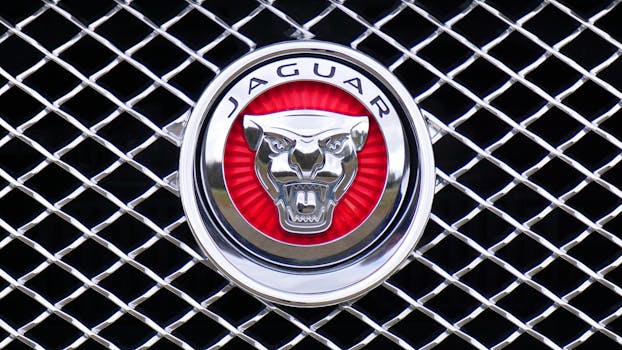 luxury brand logo